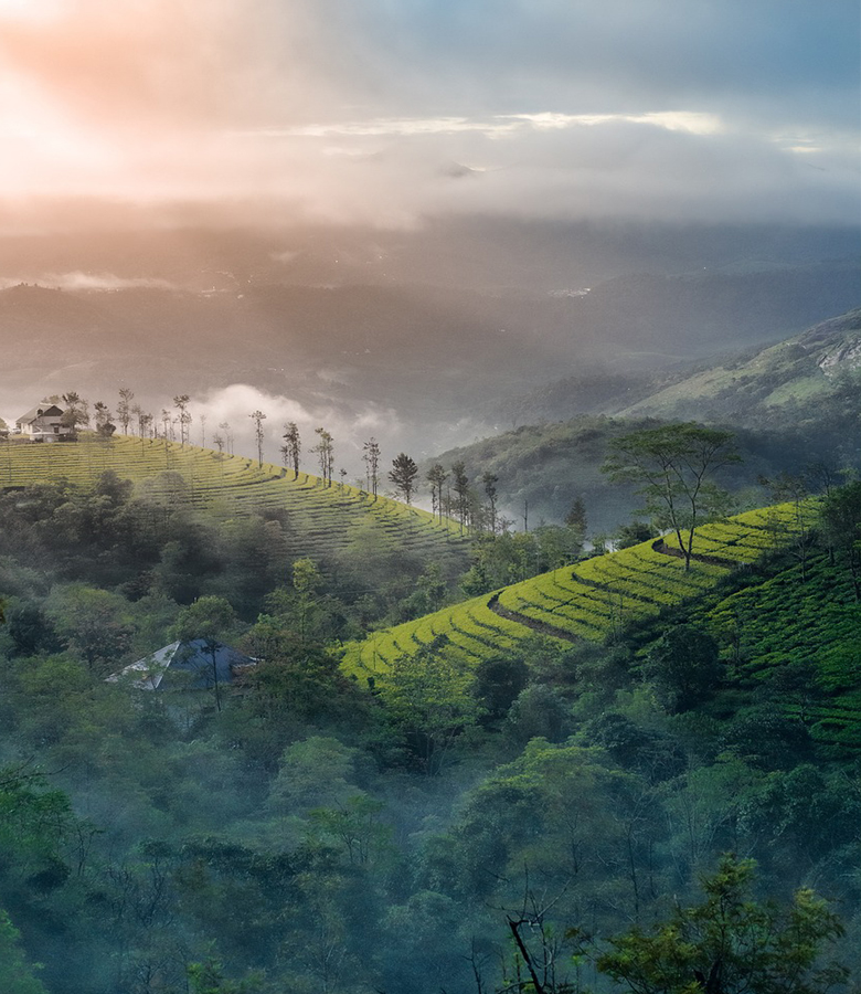 idukki-img-02