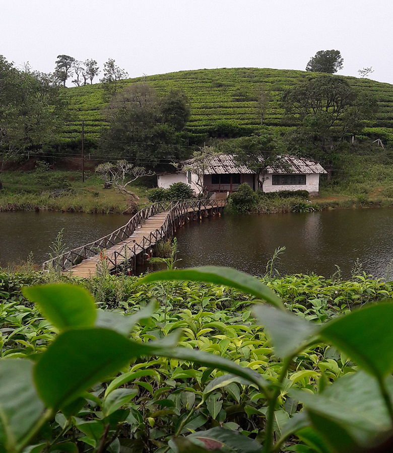 vagamon-img-01